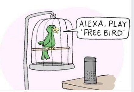 Alexa, play Freebird