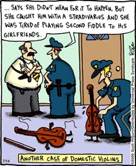 Another case of domestic violins!