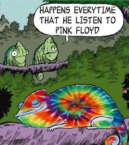 This happens every time he listens to Pink Floyd!
