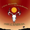 Chris Berardo & The DesBerardos "Ignoring All the Warning Signs..."