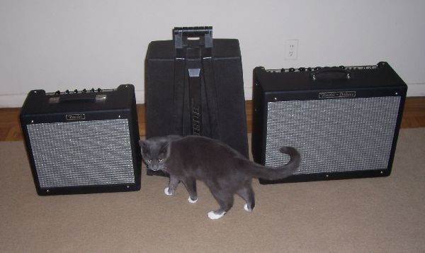 Fender Hot Rod Deluxe, Bose Speakers, Fender Blues Jr.